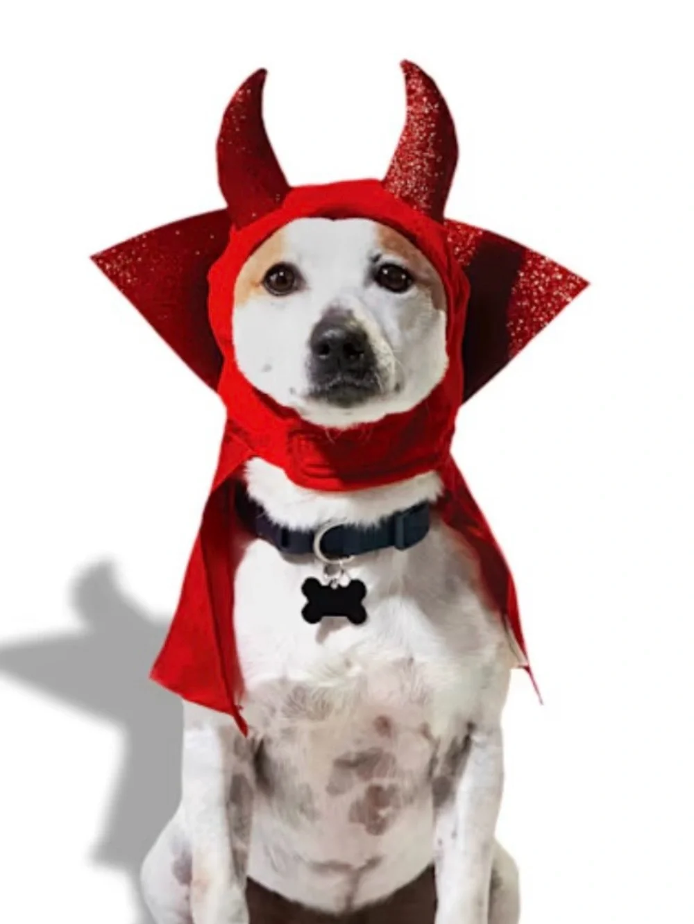 Devil Pet Costume Headpiece, Large/X-Large